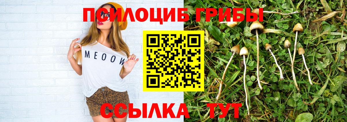 Псилоцибиновые грибы Cubensis  Вход с VPN  Борисоглебск 